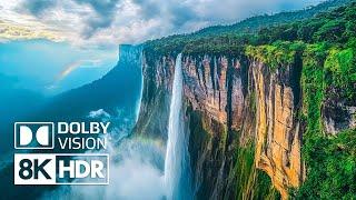 Exploring Nature’s Hidden Jewels in 8K HDR 60FPS Dolby Vision