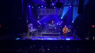 Zebra "Tell Me What You Want"  (11/8/24 Charlotte, NC) 4K