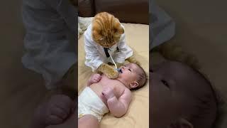 Little yellow cat and human baby