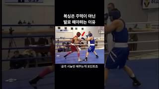 고수들이 사용하는 스탭 페인트 #복싱 #boxing