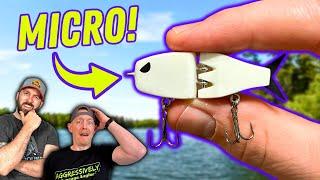 This INSANE MICRO Swimbait ACTUALLY WORKS!? Ultralight Fishing!