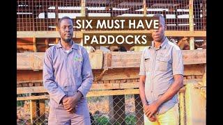 Why Paddocks?  & six  must have Paddocks at your Goat Farm