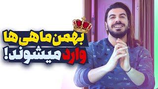 بهمن ماهی ها وارد میشوند !!!