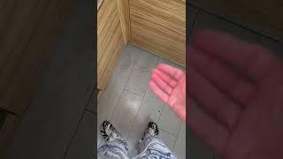 1 second rule #themeaningoflife #germs #food #hack #vlog #filthy #funny #joking #ai #cooking