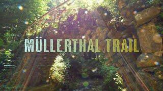 Gebirgsstelze | Birding in Luxemburg | Part 4: Müllerthal Trail | + english subtitle