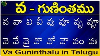 వ గుణింతం | Va gunintham | How to write Telugu Va guninthalu | Telugu varnamala Guninthamulu