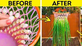 How To Grow Your Own Fresh Food at Home  Genius Gardening Hacks!