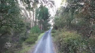 FUENTE DE LA CORCHA (BEAS) - HUELVA