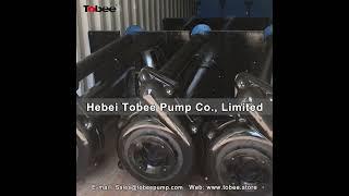 Tobee® 100RV SPRL vertical sump pumps