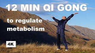 12 MIN QI GONG WARM UP AND PRACTICE TO HARMONIZE AND REGULATE METABOLISM