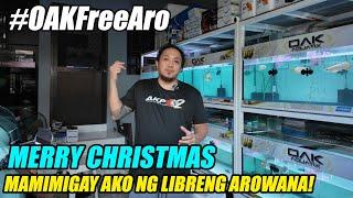 Mamimigay Ako Ng Libreng Arowana | Stock Update ng OAK AQUATIX