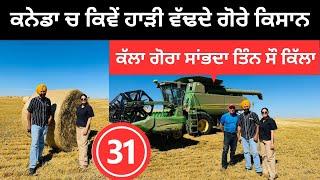 ਹਾੜੀ ਦੀ ਫਸਲ ਸਾਂਭਦੇ ਕਨੇਡਾ ਦੇ ਗੋਰੇ  Agriculture in Canada | Punjabi Travel Couple | Ripan Khushi