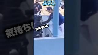 ワンちゃんと遊ぶドジャース大谷翔平
