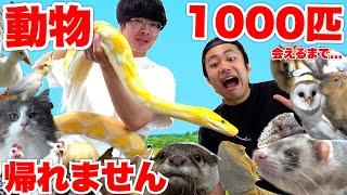 動物１０００匹に会えるまで帰れませんやったら動物園みたいな自宅に訪問できた！？