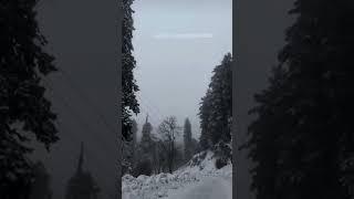 Nathia Gali| Galiyat| Muree| Mr Beast| #foryou