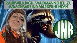 RAUBWILDJAGD !!!!!! Waidmannsheil zu Linda´s Waschbär und den zwei Marderhunden.