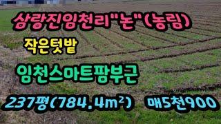 삼랑진 임천리 소형토지 논(농림)텃밭매매 매5900만원