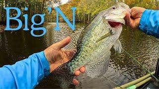 Crappie Fishing in November Made EASY for Beginners!