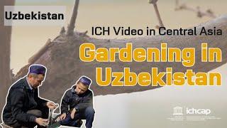 Uzbekistan-Gardening in Uzbekistan