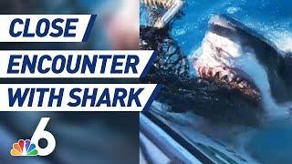 Close Encounter With Great White Shark Caught on Camera | NBC 6