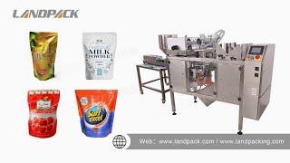 LDB-300 Mini Doypack Liquid Filling and Packing Machine 100~1kg