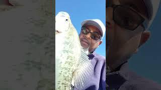 Crappie Fishing for Big Girls | Back In Tha Drank #skcrappie #crappiefishingguidebyskllc