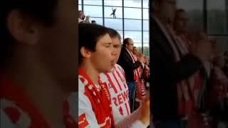 #fußball #bundesliga #fans #köln #stadion #stadium #emotional #support #shorts #shortvideo #short