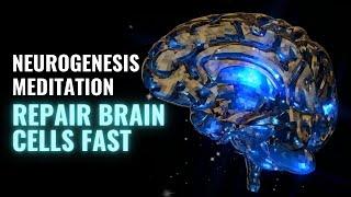 Grow New Brain Cells Through Neurogenesis | Repair Brain Cells Fast | Neural Oscillations Sounds