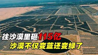 美国卫星发现，中国花115亿在沙漠里铺满光伏板，结果震惊了