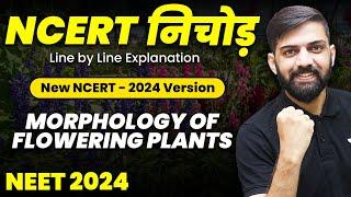 NCERT निचोड़ Morphology of Flowering Plants | NCERT Biology Line by Line Explanation for NEET 2024