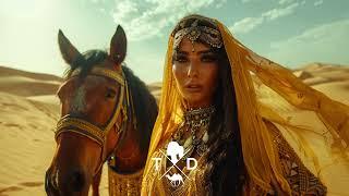 In Lakech - Praetorian [PREMIERE]