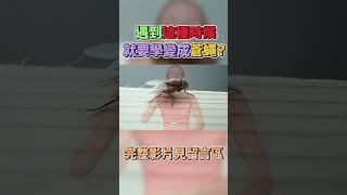 別再氣噗噗！變蒼蠅幫你醒腦消災！曉菁主播 #shorts JudyVlog