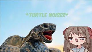 Chat asks Vedal to make 𝐭𝐮𝐫𝐭𝐥𝐞 𝐦𝐚𝐭𝐢𝐧𝐠 𝐬𝐨𝐮𝐧𝐝𝐬