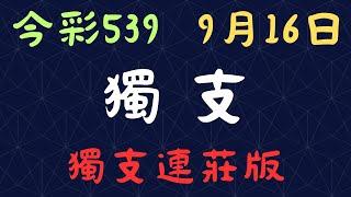 今彩539｜獨支｜少年狼539｜9月16日｜獨支連莊版