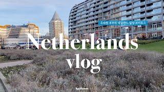 네덜란드 일상 vlog | 새 집으로 이사, 집 청소, 인터넷 셀프 설치, 쇼핑한 것들 언박싱