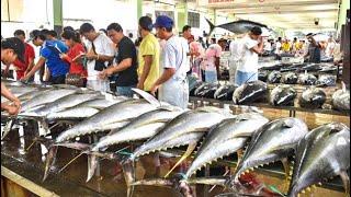 How Mr. Ramesh Cuts Fish Like a Pro! ️ A Culinary Art  #fishcutting #fishcuttingskill #fish