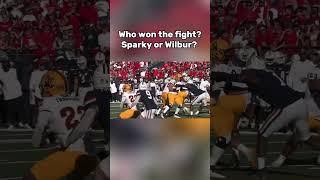 ASU vs Arizona mascot fight(Nick_Borgia/X)(#viral #cfb #collegefootball #collegegameday #shorts)