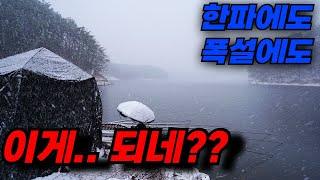 시작부터 월척! / 겨울 붕어낚시 얼지 않는 곳에서 미친 손맛! / 지금 가장 핫한 곳 입니다 / 안동댐 붕어낚시