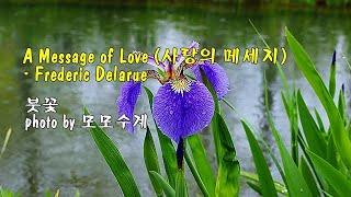 A Message of Love (사랑의 메세지) / Frederic Delarue & photo by 모모수계