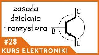 ZIZ #28 Tranzystory - podstawowe informacje [Kurs elektroniki dla początkujących]