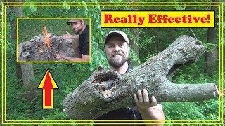 How To Dry Wet Wood Fast!