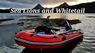 12 Day Solo Stewart Island Circumnavigation | rough seas and territorial sea lions | Part 2