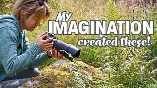 Unlock Your Creativity: Using Imagination to Transform Your Photography