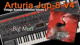 Arturia Jup-8 V4 | Depeche Mode - Big Muff (Instrumental)