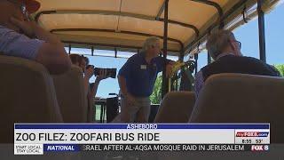 Take a ride on the Zoofari bus at the NC Zoo!