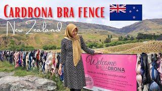 Cardrona Bra Fence New Zealand