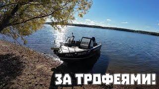 Готовимся к соревнованиям. Motorguide + Lowrance ВЕЩЬ! Конкурс.