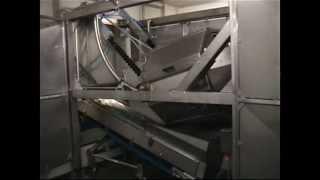 Eillert Leafy Vegetable Processing Line