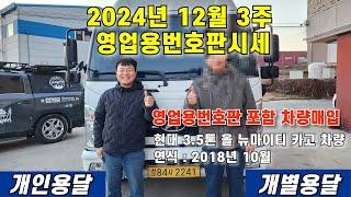 2024년 12월 3주 영업용번호판시세 및 현대 3.5톤 올 뉴마이티 카고차량 판매