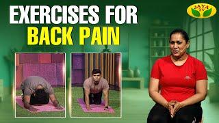 Exercises For Back Pain |  Back Pain Problems | Dhinamum Ennai Gavani | Divya | JayaTv